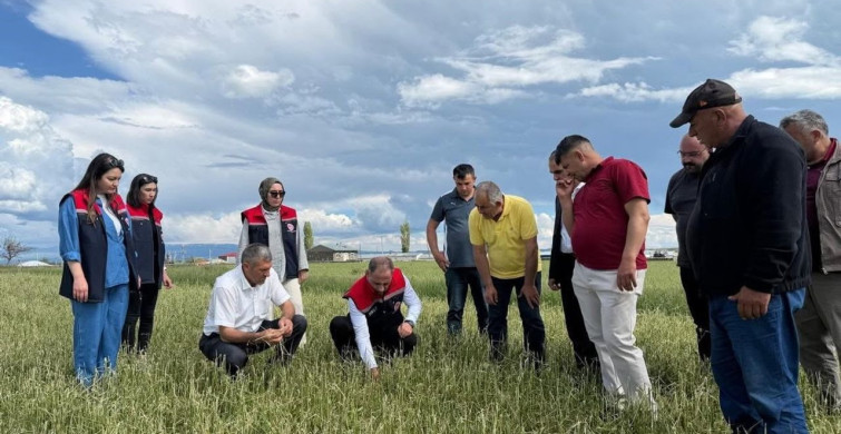 Kars'ta dolu zararı sonrası hasar tespit çalışmaları sürüyor