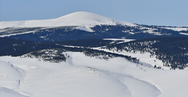 Kars'ta Kar Manzaraları