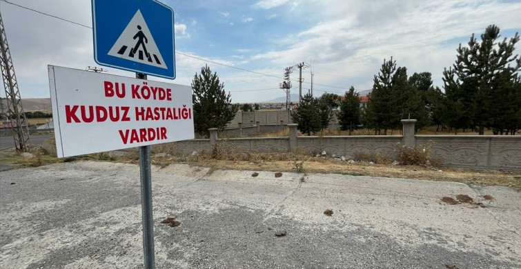 Kars'ta Kuduz Tehdidi: Dağpınar Beldesinde Karantina Uygulaması Başlatıldı