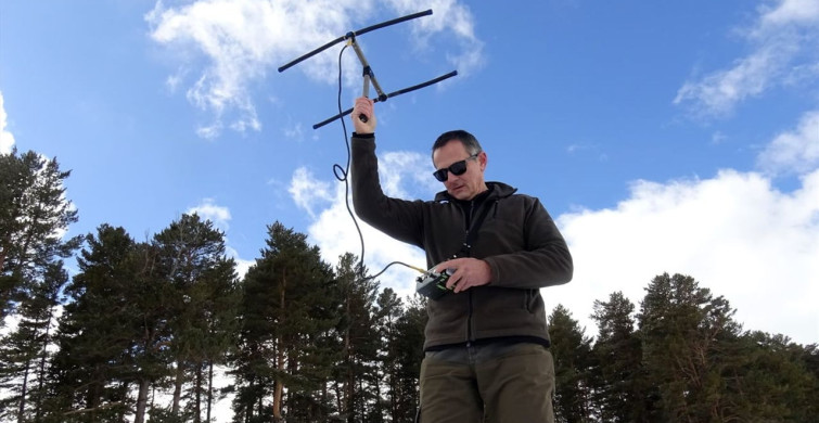 Kars'ta Kurtların Kış İzleri İnceleniyor