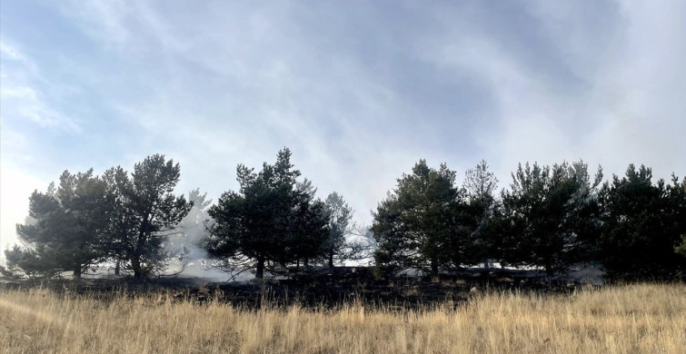 Kars'ta Orman Yangını: 1,5 Hektar Alan Zarar Gördü