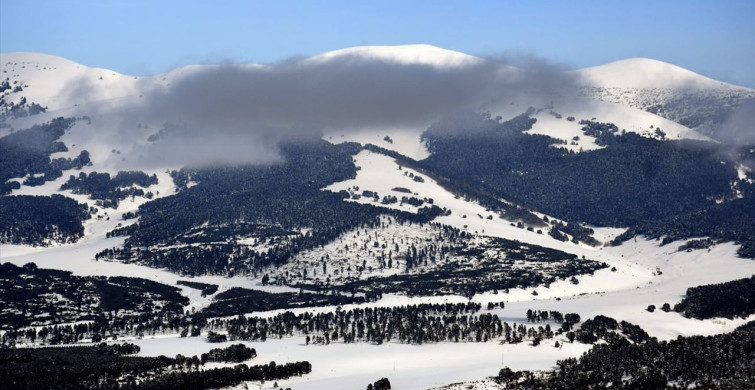 Kars'ta Sarıçam Ormanları Karla Kaplandı