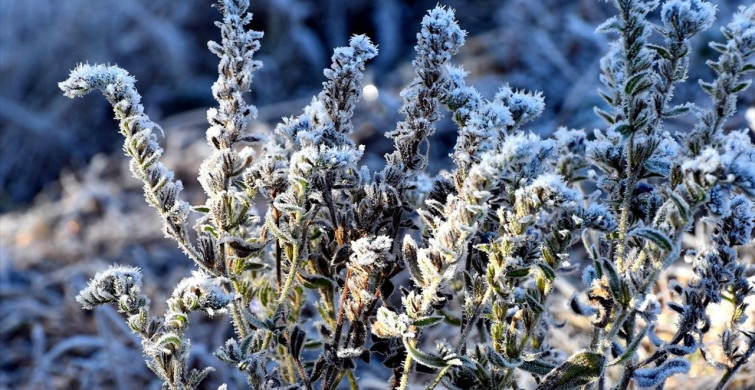 Kars'ta Soğuk Hava Etkisini Sürdürüyor