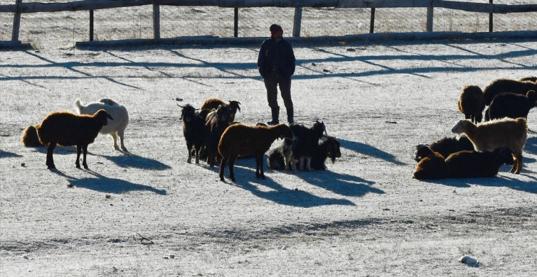 Kars'ta Soğuk Hava Etkisiyle Buzlanma ve Kırağı Oluştu
