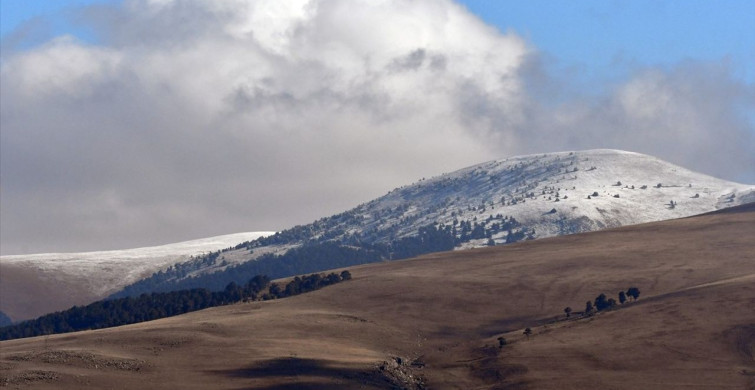 Kars'ta Soğuk Hava ve Yoğun Sis Etkili