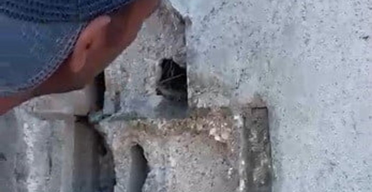 Kars'ta usta, duvarı kırarak kuş yavrularını kurtardı