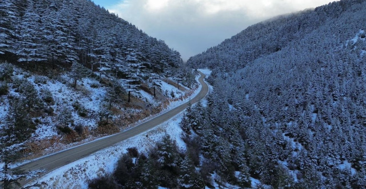 Kaş'ta Kış Manzarası: Karla Kaplı Ormanlık Alan