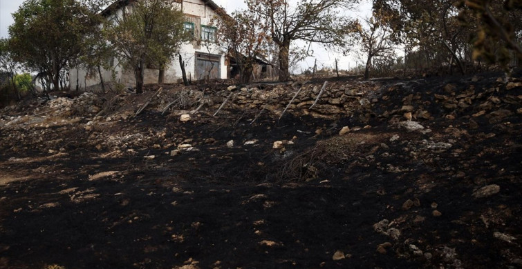 Kastamonu-Karabük Sınırındaki Orman Yangınlarına Müdahale Devam Ediyor