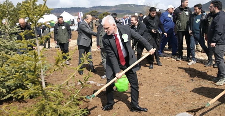 Kastamonu'da 1340 Fidan Toprakla Buluşturuldu