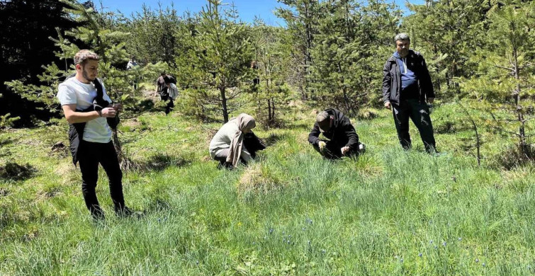 Kastamonu'da 19 Mayıs Coşkusu: Gençler İntaş Mağarası’nda Yürüyüş Yaptı