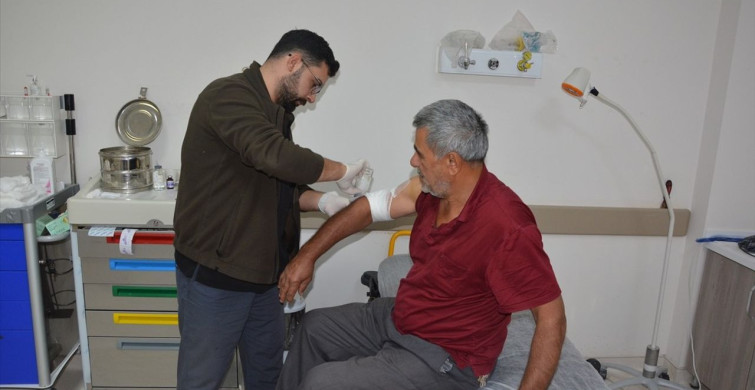 Kastamonu'da Ayı Saldırısından Kaçan Çiftçi Yaralandı