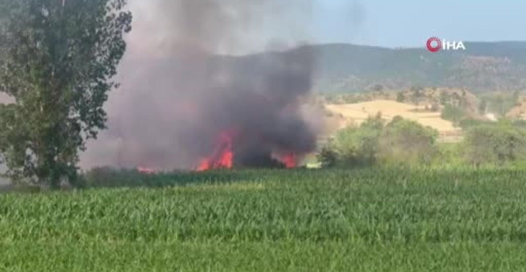 Kastamonu'da buğday tarlası yangında zarar gördü