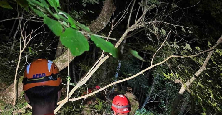 Kastamonu'da dengesini kaybedip uçuruma yuvarlanan kişi kurtarıldı