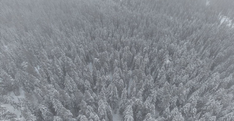 Kastamonu'da Kar Yağışı Etkisini Gösterdi