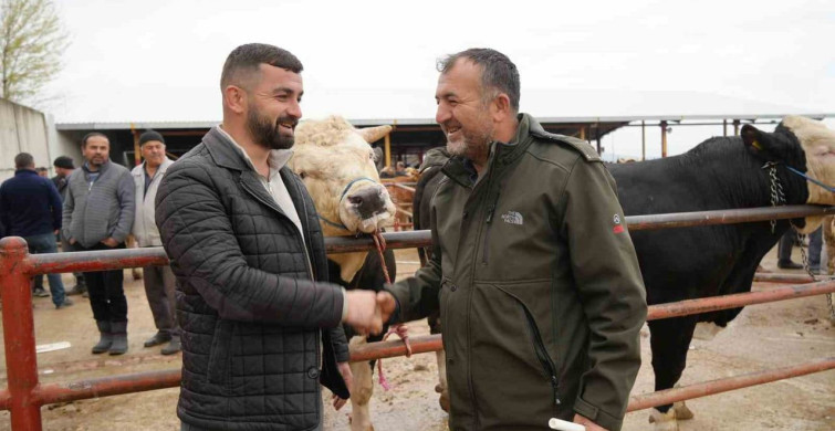 Kastamonu'da Kurban Bayramı Hareketliliği: Pazar Gözdesi 340 Bin TL'ye Satıldı