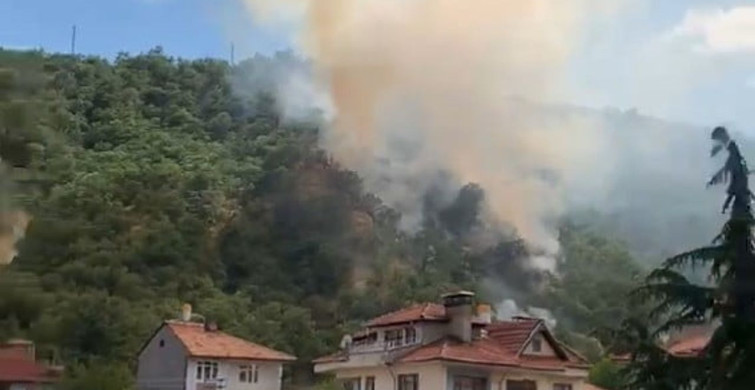 Kastamonu'da orman yangını 40 dönümlük alanı etkiledi