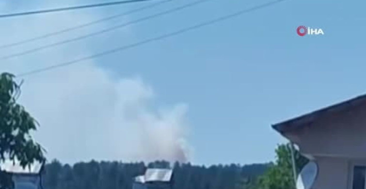Kastamonu'da orman yangınına havadan ve karadan müdahale edildi