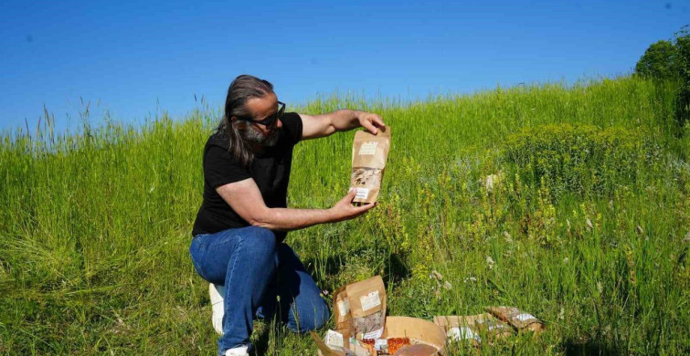 Kastamonu'da siyezin ekim alanları genişliyor