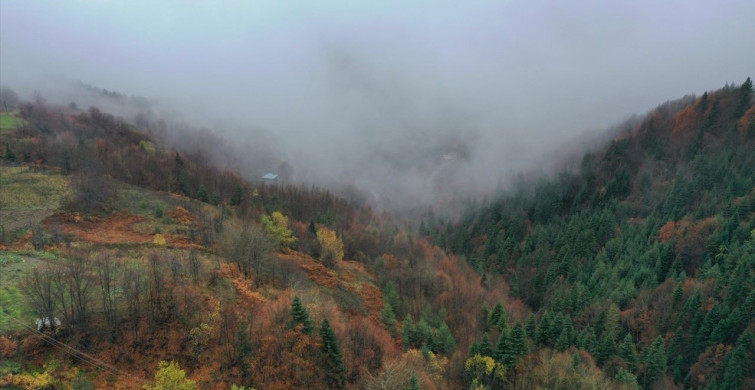 Kastamonu'da Sonbaharın Büyüleyici Renkleri Dronla Görüntülendi