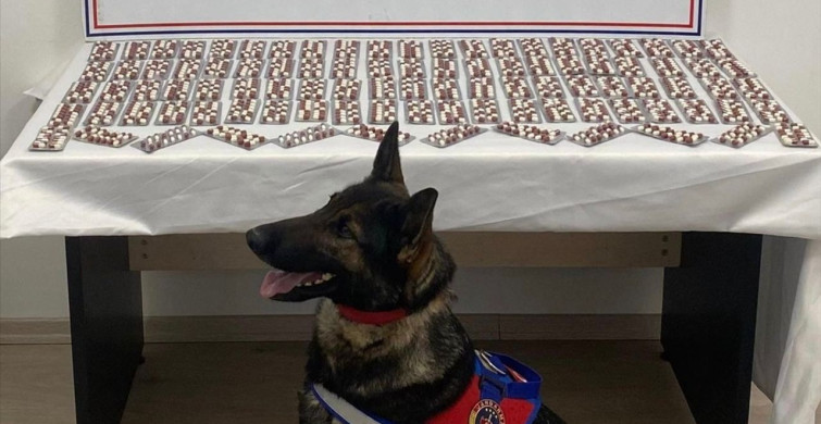 Kastamonu'da Uyuşturucu Operasyonu: 1344 Hap Ele Geçirildi