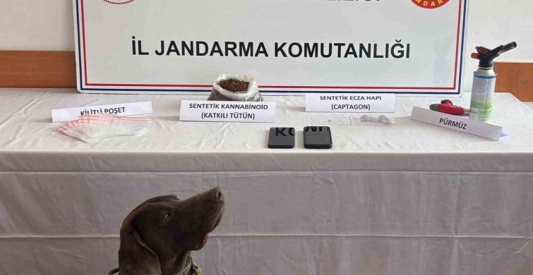 Kastamonu'da Uyuşturucu Operasyonu: 3 Tutuklama Gerçekleşti