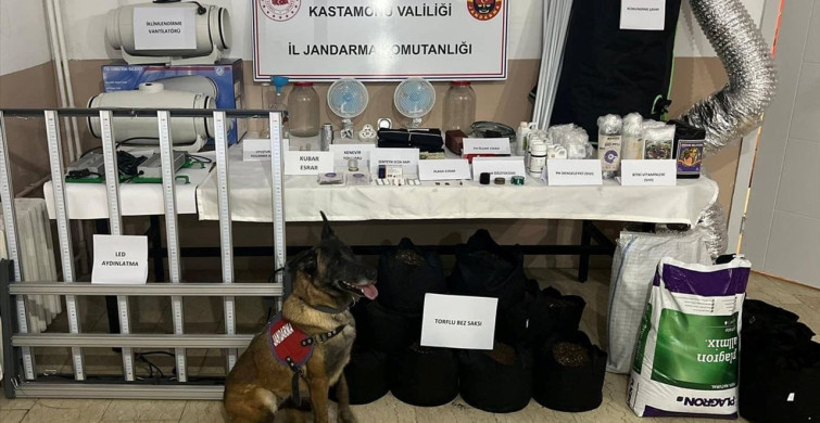 Kastamonu'da Uyuşturucu Operasyonu: 6 Zanlı Yakalandı