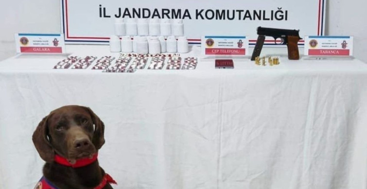 Kastamonu’da Uyuşturucu Operasyonu: Bir Tutuklama