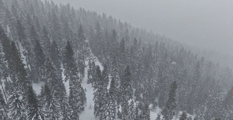 Kastamonu'da Yoğun Kar Yağışı ve Sis Etkili