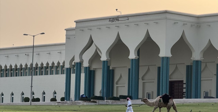 Katar'ın Geleneksel Deve Geçidi Töreni