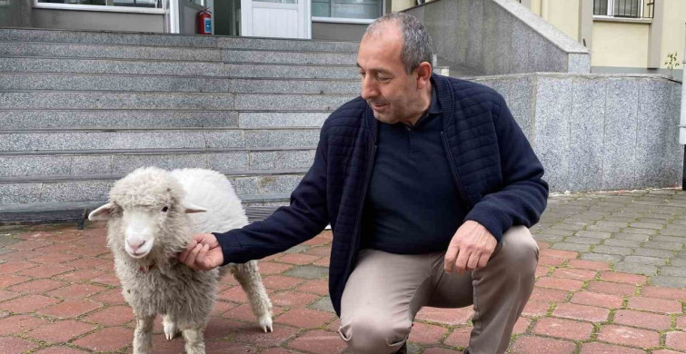 Kavak Adliyesi'nde Sevimli Maskot: Kuzu Tertip