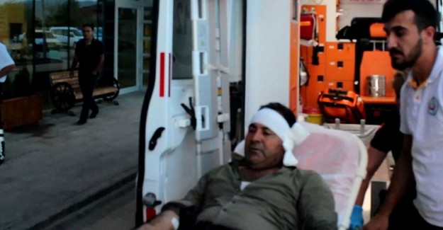 Kavga Ettiği Adamın Kulağını Isırarak Kopardı