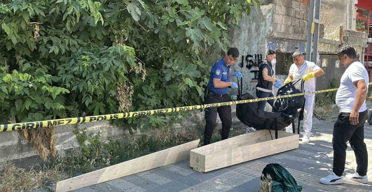 Kaybolan kedisini arayan vatandaş, ceset buldu