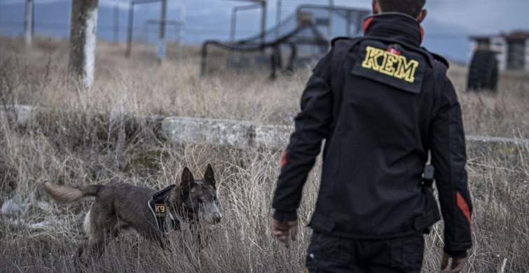 Kayıp Şahısların Kurtarıcısı: Kadavra Köpeği Melo
