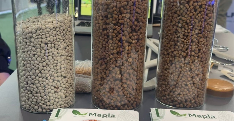 Kayısı Çekirdeğinden Biyomalzeme Üreten Türk Girişimcinin Paris'teki Başarısı