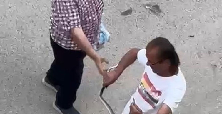 Kaynarca'da Yılan Panik Yarattı, Belediyeden Hızlı Müdahale
