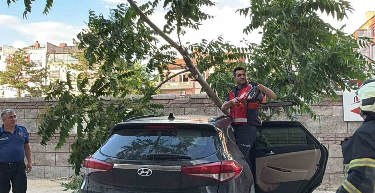 Kayseri'de ağaç, aracın üzerine devrildi