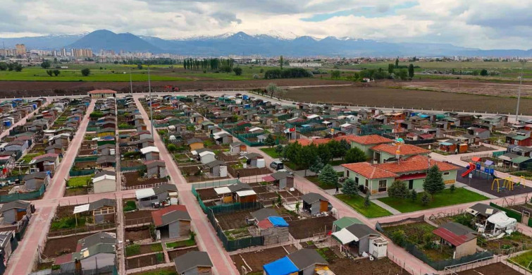Kayseri'de Emeklilere Ücretsiz Fideler