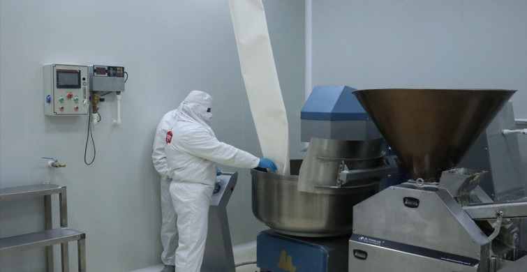 Kayseri'de Glütensiz Gıda Üretimi: Devlet Desteğiyle 100 Bin Paket