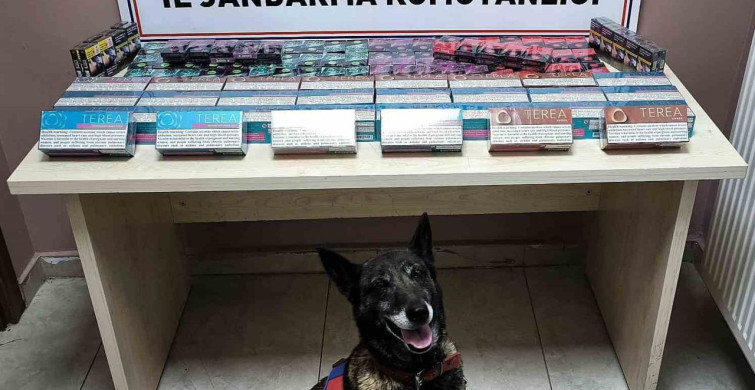 Kayseri'de Kaçak Sigara ve Elektronik Sigara Kartuşu Ele Geçirildi