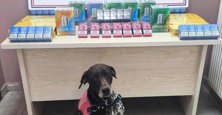 Kayseri'de Kaçakçılık Operasyonu: İki Şüpheli Yakalandı