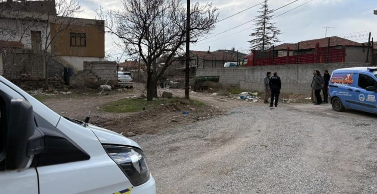 Kayseri'de Köpek Saldırısı: Resmî Olmayan Sahibinin Cezası