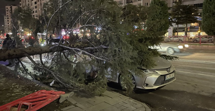 Kayseri'de Rüzgarın Devrip Yıktığı Ağaç Otomobile Zarar Verdi