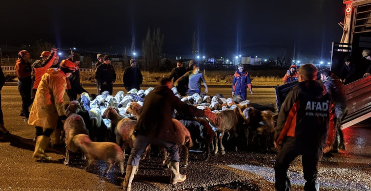 Kayseri'de Taşkın Riski Nedeniyle 200 Hayvan Tahliye Edildi