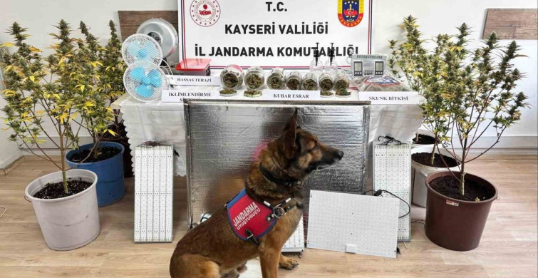 Kayseri'de Uyuşturucu Operasyonu: 830 Gram Ele Geçirildi