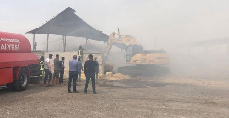 Kayseri’de Yangın: 3 Bin Yem Yanarak Kül Oldu