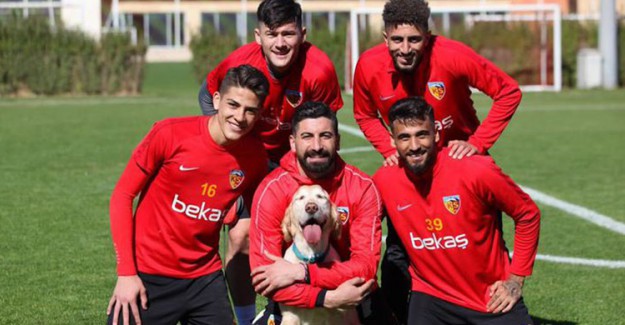 Kayserispor'dan Hayvan Hakları Paylaşımı