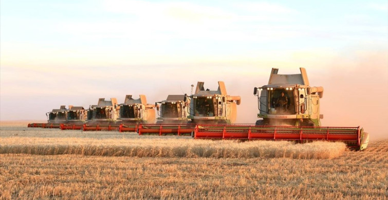 Kazakistan'da Tahıl Hasadı Rekor Kırdı