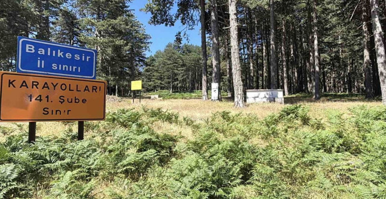 Kazdağları'nda ilkbahar sonrası yazın görsel şöleni