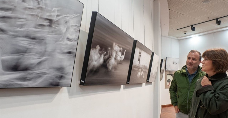 Kazların Senfonisi İzmir'de Sanatseverlerle Buluştu