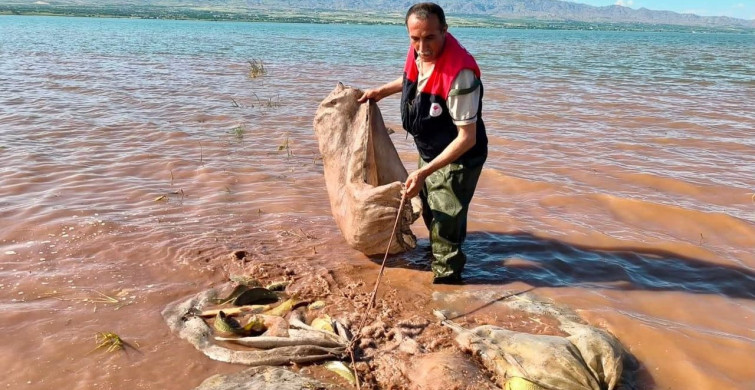 Keban Baraj Gölü'nde 700 Kilogram Canlı Sazan Kurtarıldı